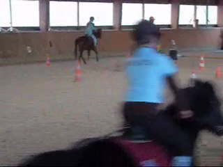 petit president 13 decembre pony games