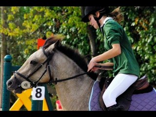 La grange martin compétition poney