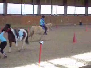 2 bouteilles 13 decembre pony games