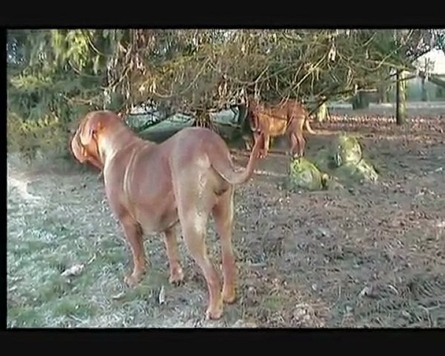 La Tour Gelée le 15 décembre 2009