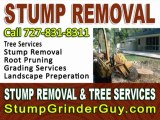 Tampa FL Stump Removal