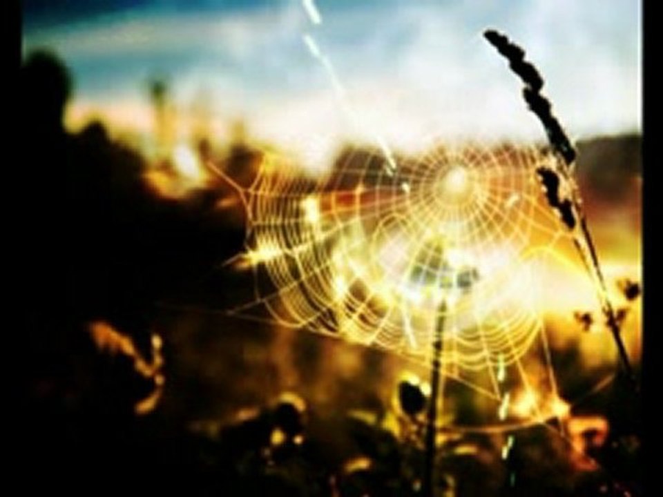 Maher Al Mueaqly  ماهر المعيقلي قرآءة جميلة   islam quran