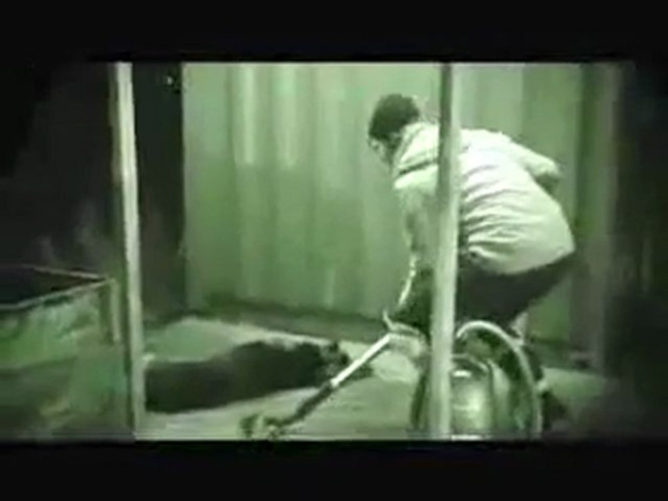 L'aspirateur silencieux qui ne réveille pas le chien