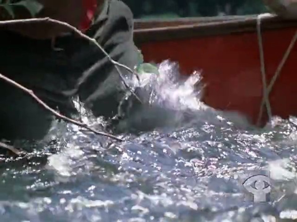 WATERWALKER