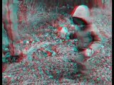 3D Anaglyphe - Victor cherche des cèpes (test 01)