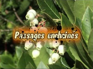 Balagne 2009 avec Olivier et Antoine