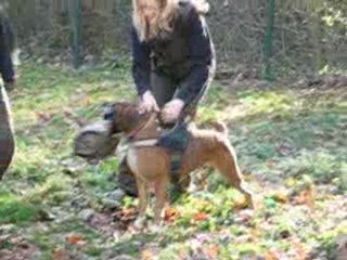 journée stage avec Ludeck Silhavy RCI Mézières
