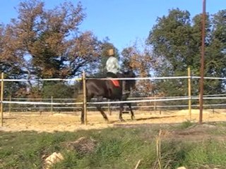 galatéo dans le rond