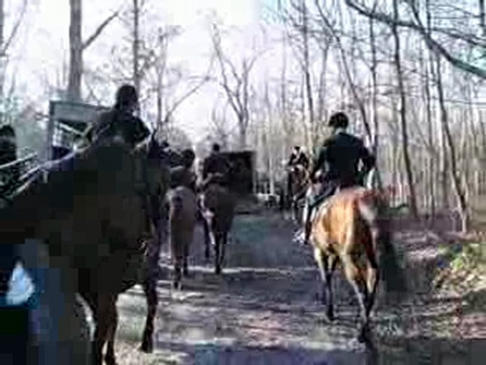 CHASSE A COURRE 2 : le départ pour la chasse