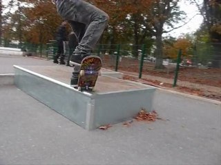 skate vince