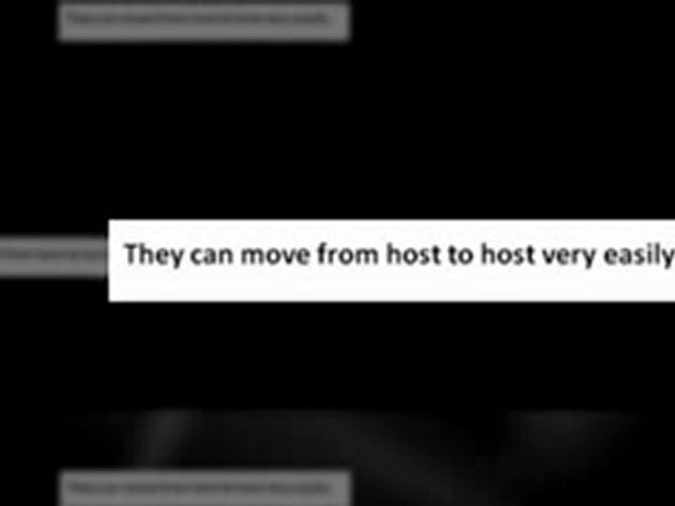 How Does Pubic Lice Spread video Dailymotion