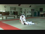 Nihon Tai-Jitsu: Révision du Kihon Kata