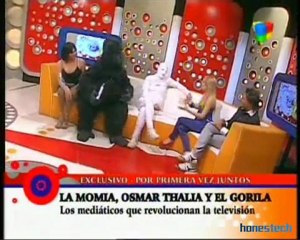 Censuran a un gorila.