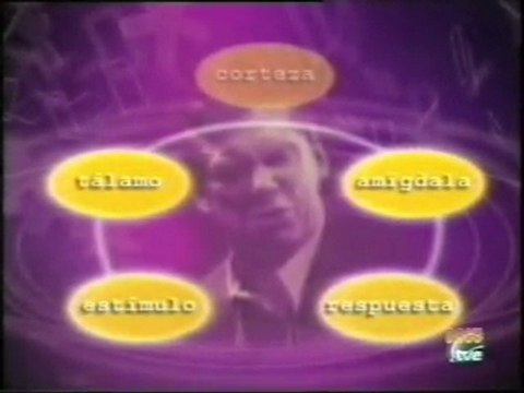 Ira y salud: Trastornos cardiovasculares