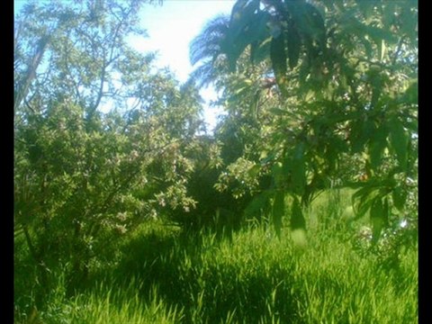 taoufik sgaoui tinghir tnjdad maroc montpellier kamal said