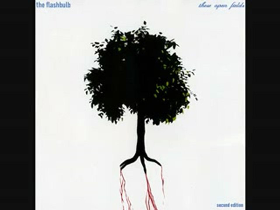 The Flashbulb - Pippin