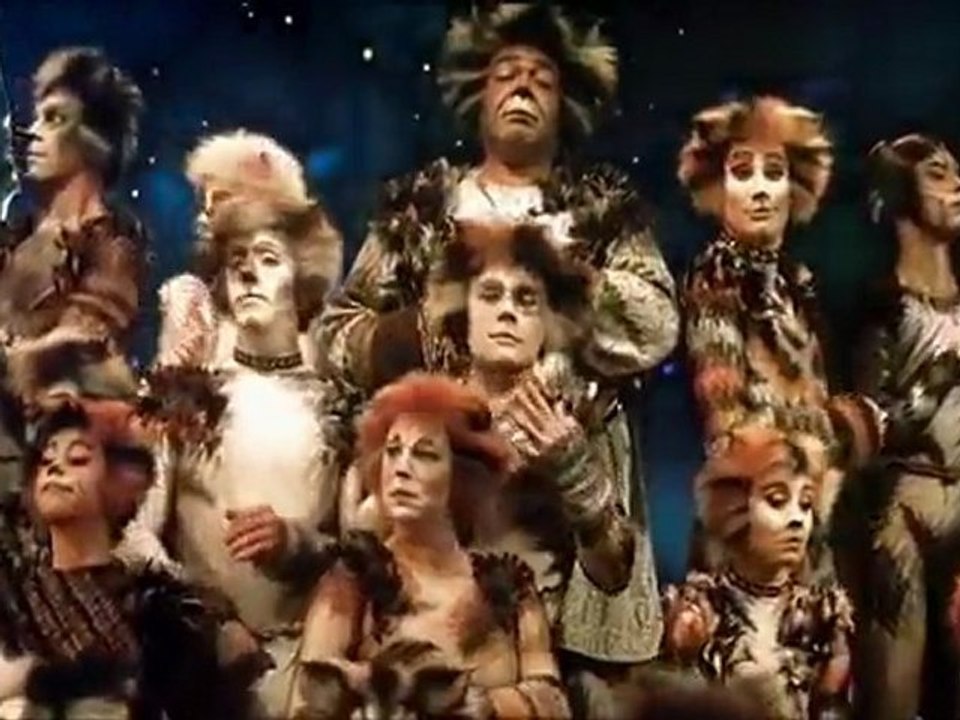 Jellicle Cat!
