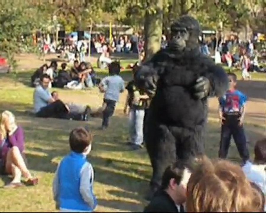 Remordimientos de un gorila