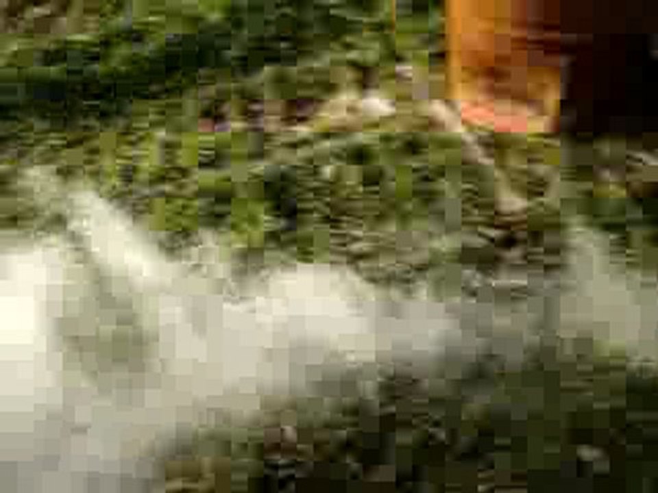 fumigène