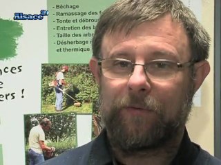 "La main verte", L'insertion des handicapés par le travail