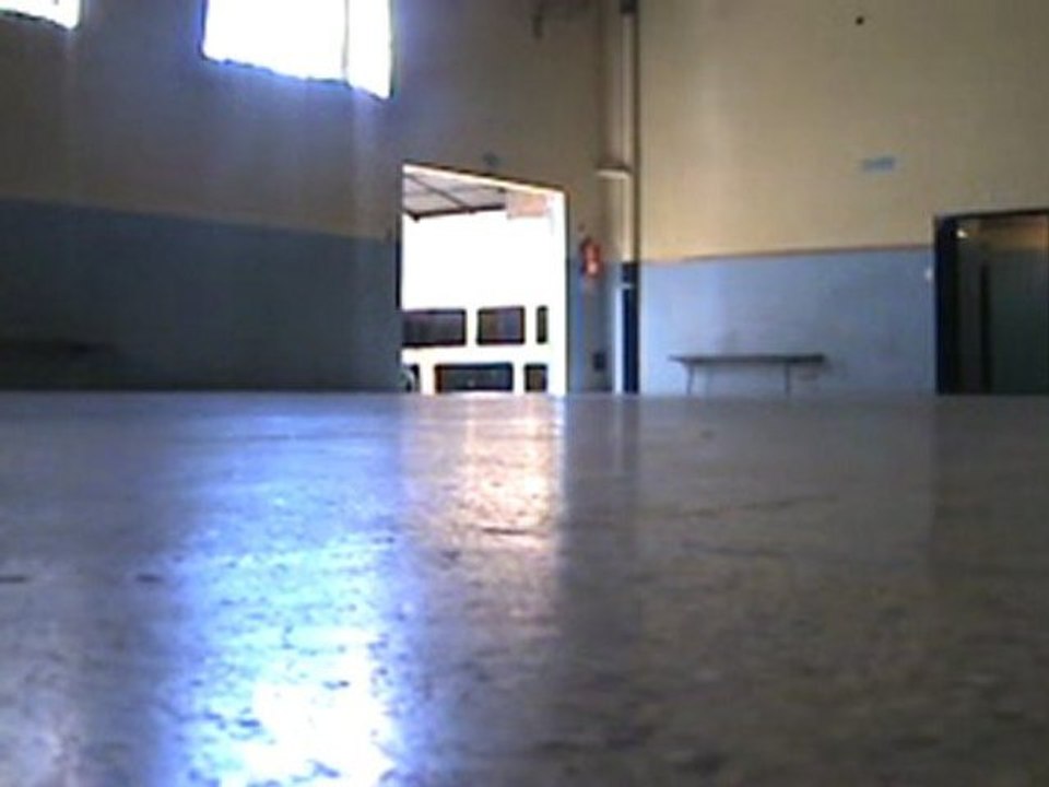 Los exitosos pells