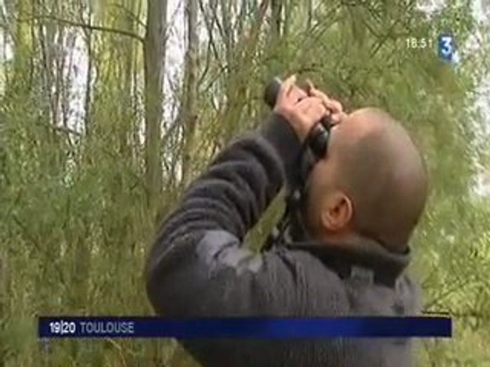 A Toulouse, une gestion durable des espaces verts 4/4