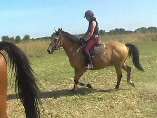 Grand galop dans les chaumes. Stage d'équitation nature.