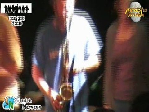 PEPPER SEED (11) sat 5 déc 2009 Ottignies