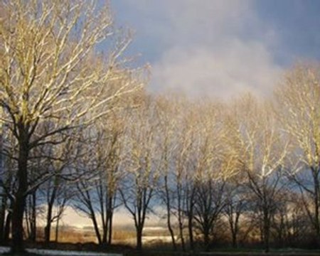 climate justice lycée V. Considerant1 tck tck tck