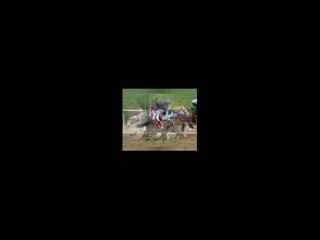 Horse Racing Betting Tips