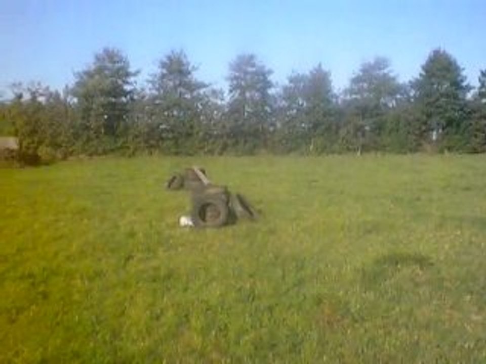 Quisolyn en obstacle