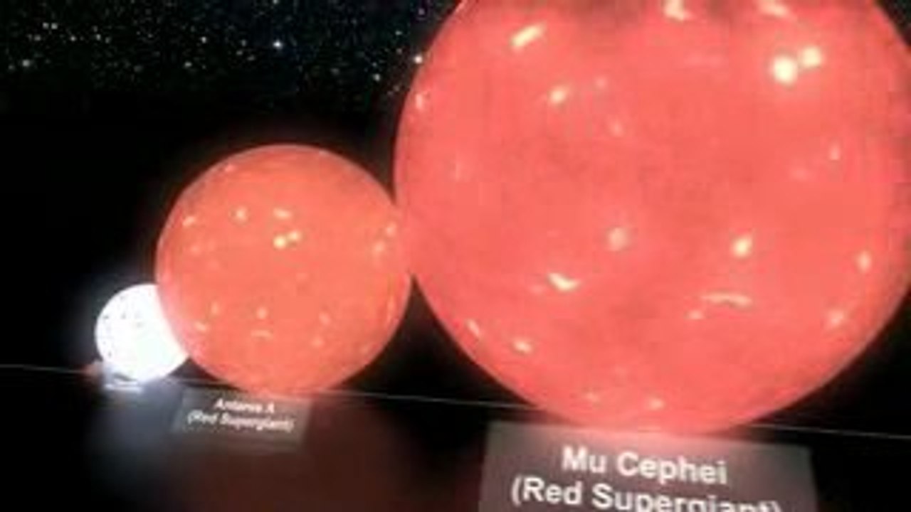 Comparaison de la taille des étoiles