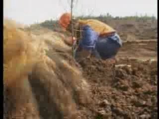 Prácticas contra el cambio climático