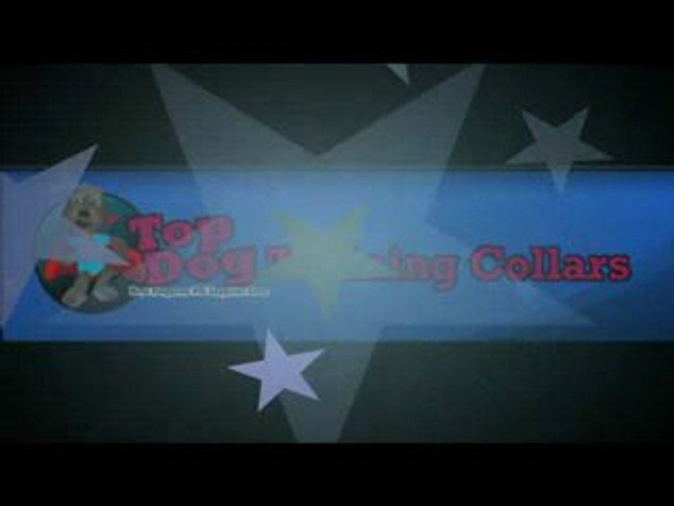 dog training collars