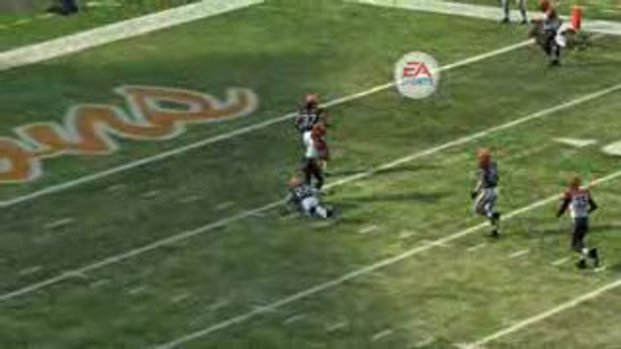 Palmer to Ocho Cinco TD