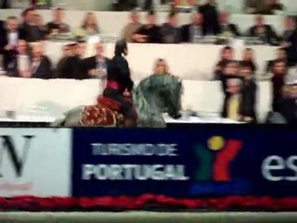 salon du cheval 2009