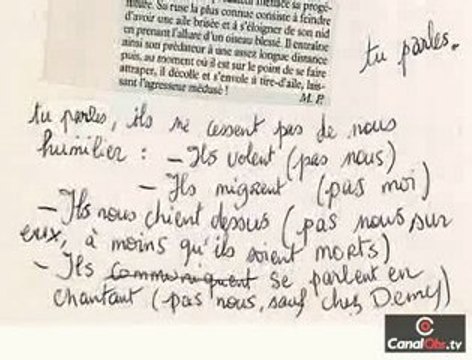 Les dessins déjantés du génial Philippe Katerine