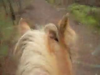 Pilou athéna moncé