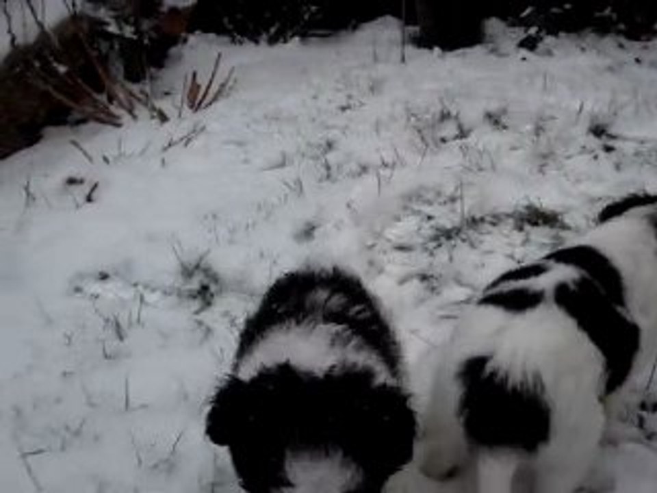 01 neige