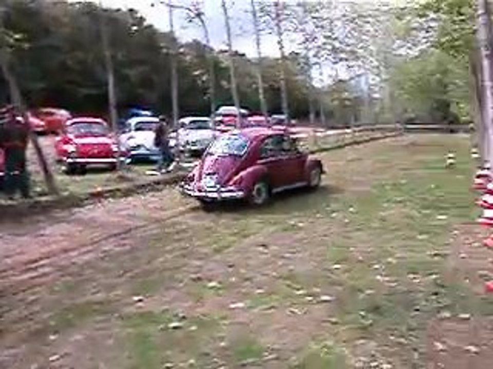 En Cicimiz Senligi - VKOD