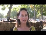 Ségolène Royal à la Foire des races mulassières de Niort