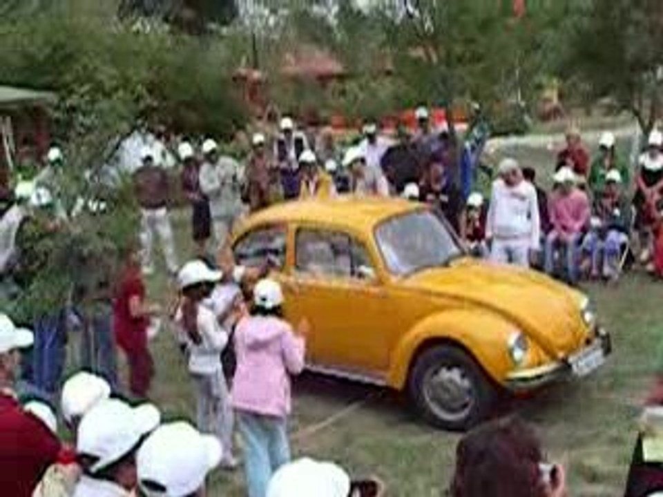 En Cicimiz Senligi - VKOD