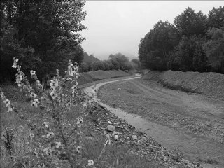 Cankurtaran ''siyah-beyaz''