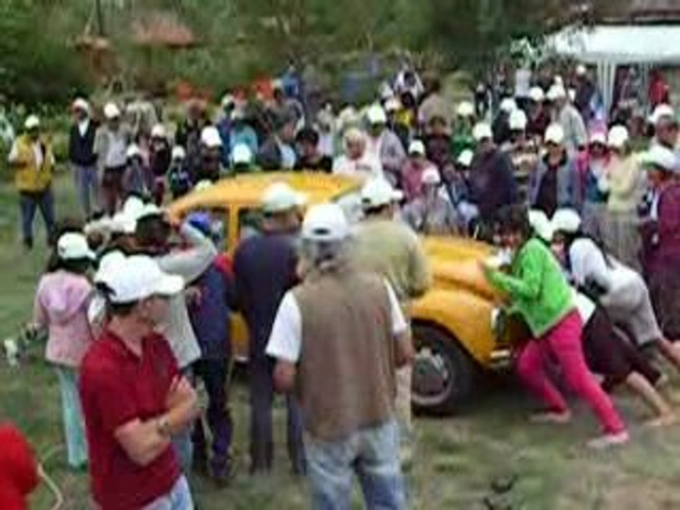 En Cicimiz Senligi - VKOD