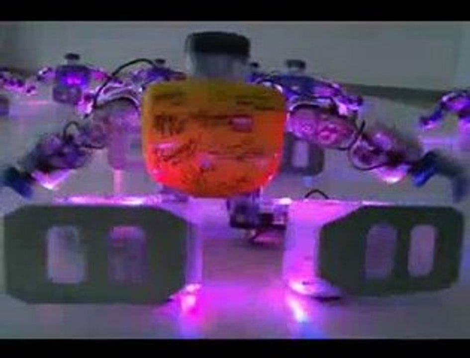 Une danse de robots pour Noël
