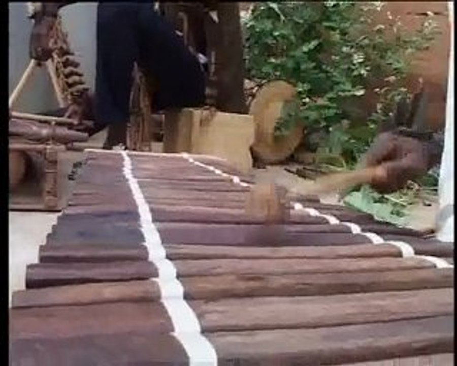 LA SONNETTE D’ALARME DE LA MUSIQUE TRADITIONNELLE 02
