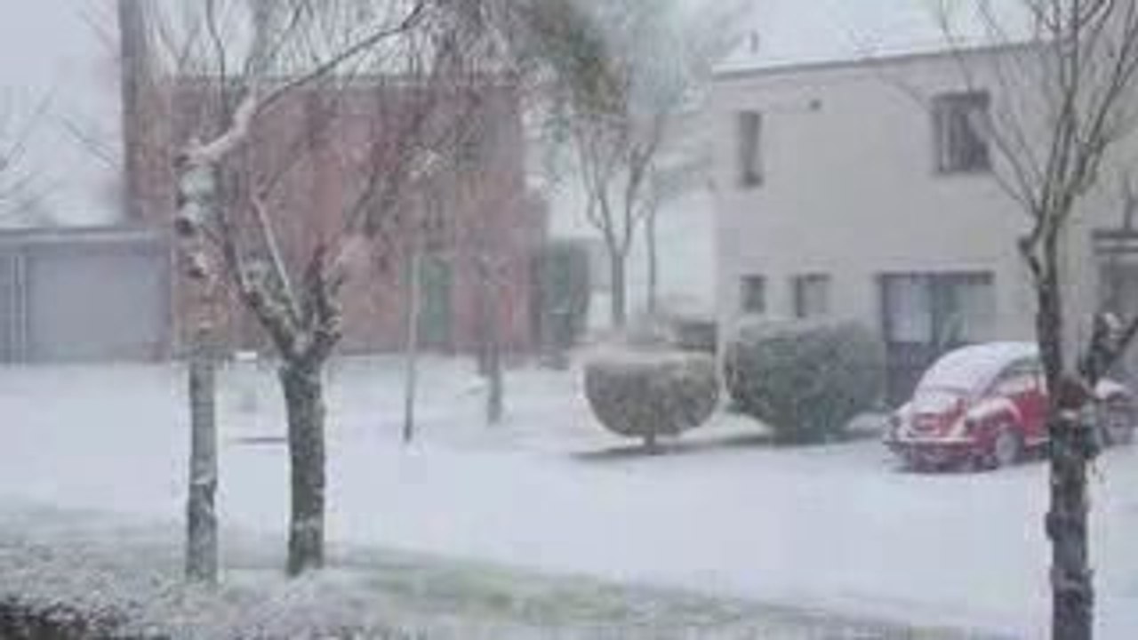 Neige...