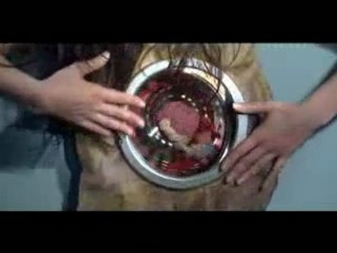 Olivia Ruiz: 'Elle panique' (le clip)