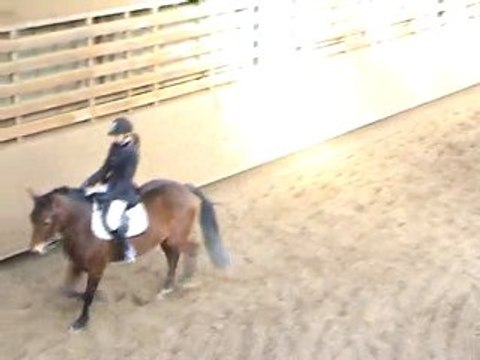 Dressage au club avec Java