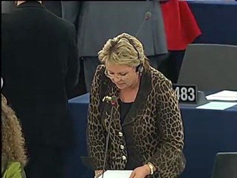 Siiri Oviir on Explanations of vote